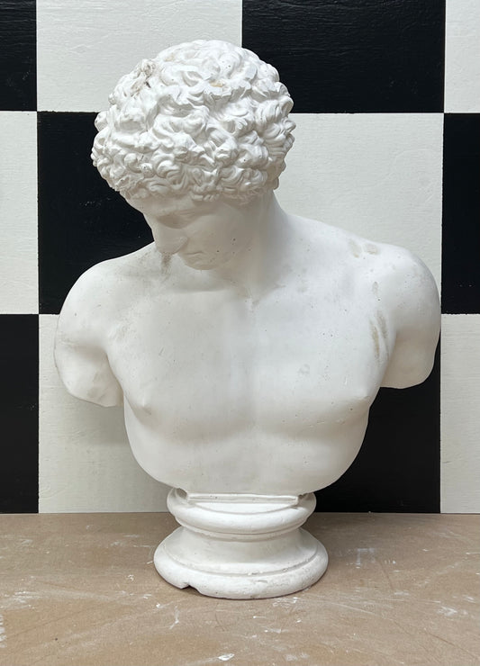 Bust