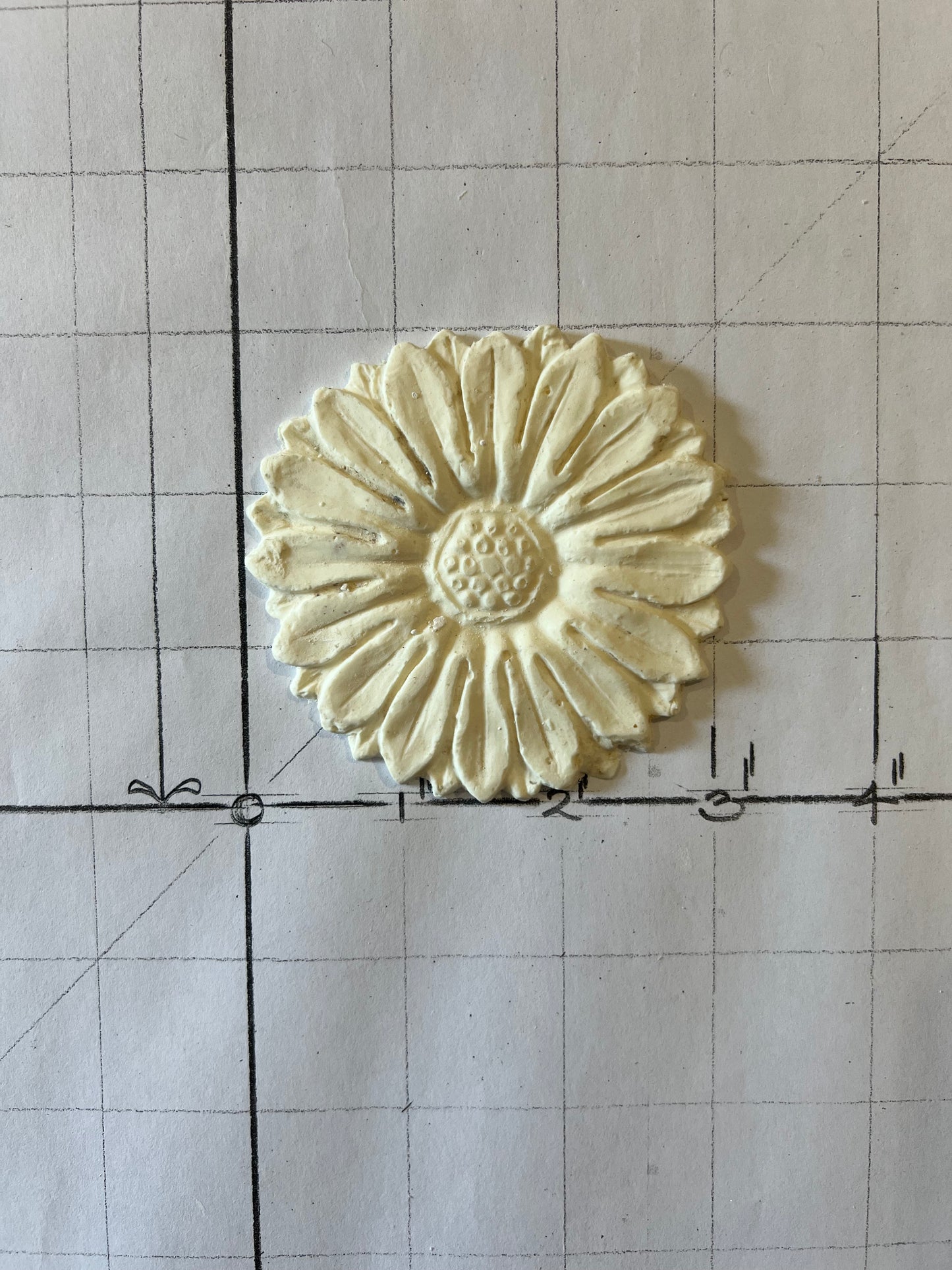 Patra 032